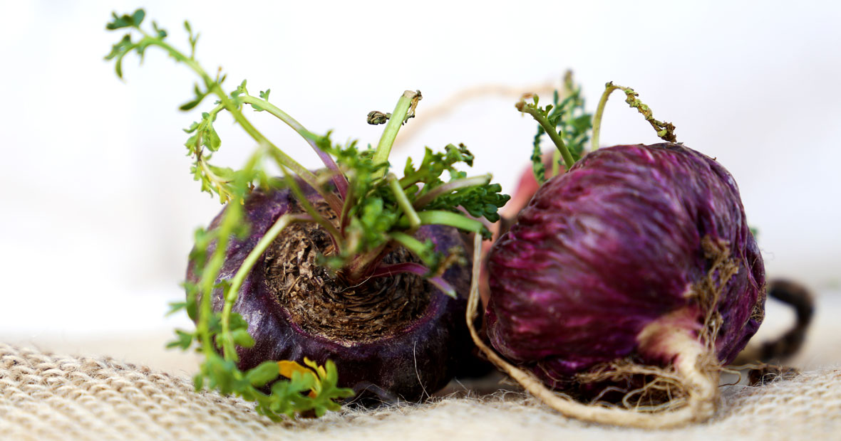 La maca rouge bio